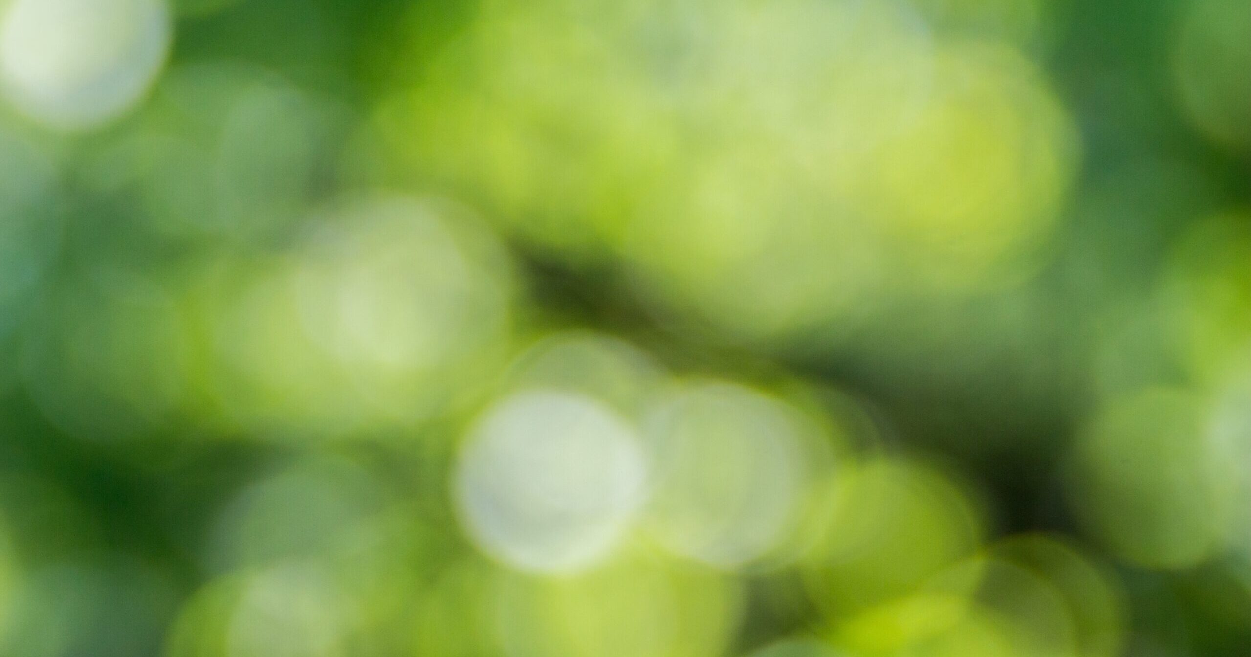 The Soothing Symphony: Exploring the Benefits of Green Noise