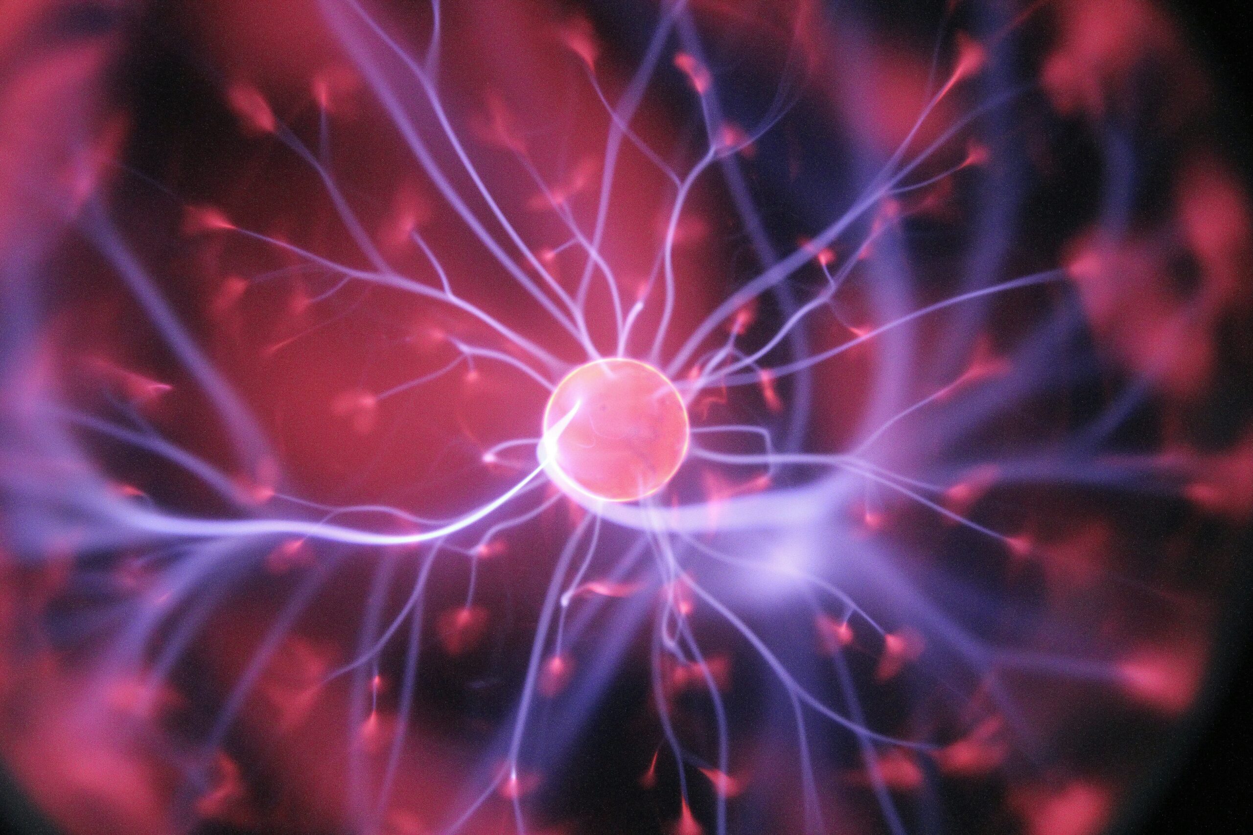 Nurturing Your Mind: Tips to Keep Your Brain Healthy and Happy