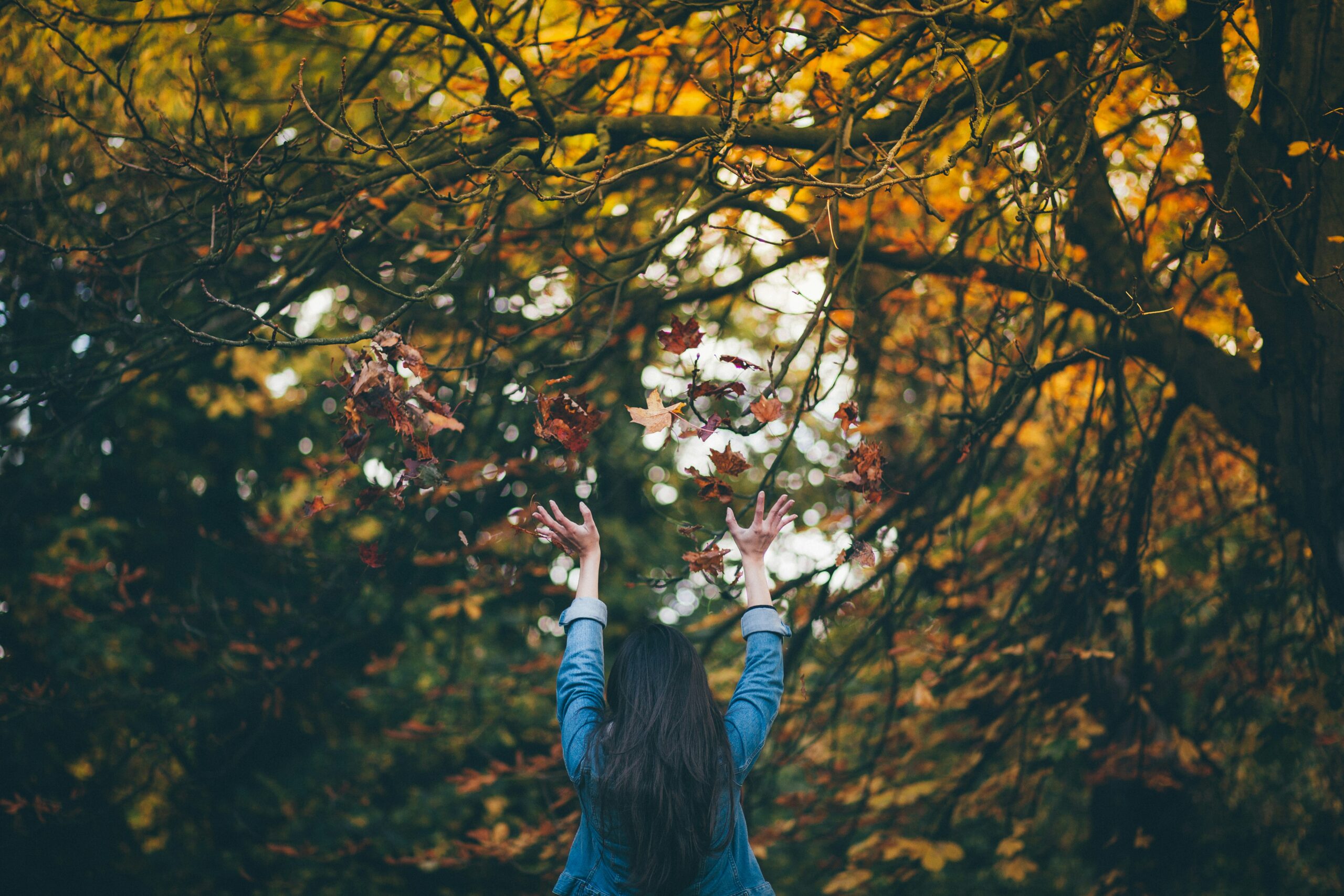 Embracing the Transition: Preparing for Autumn through Yoga and Mindful Living