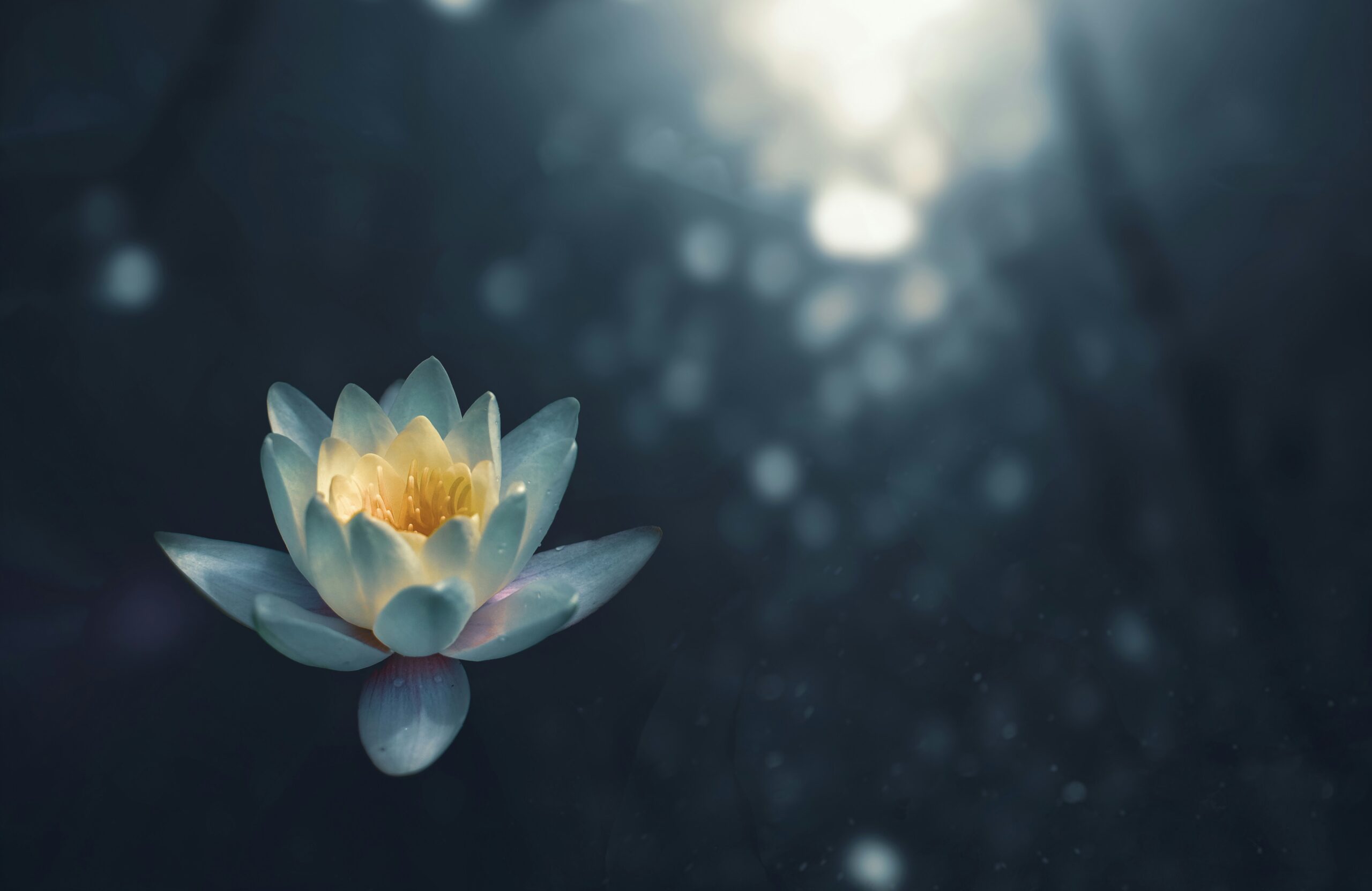 Why Yoga is Good for the Neurodivergent Brain