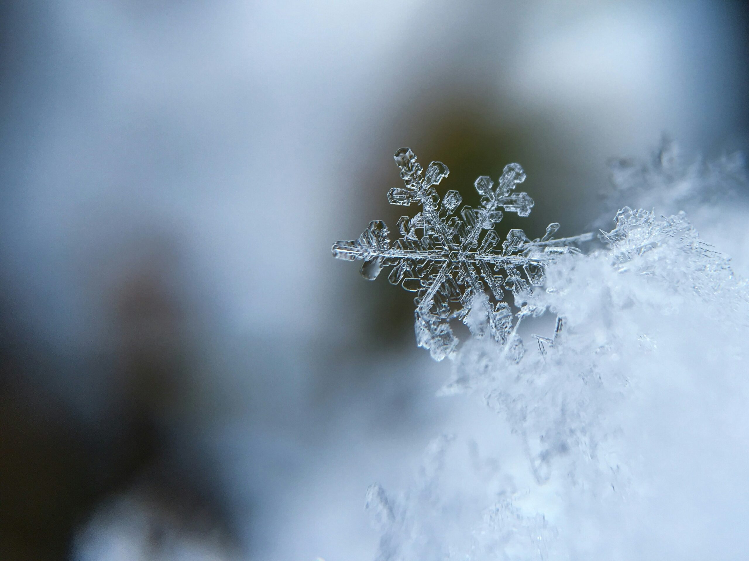 How to Embrace January: Finding Joy in the Cold and Grey