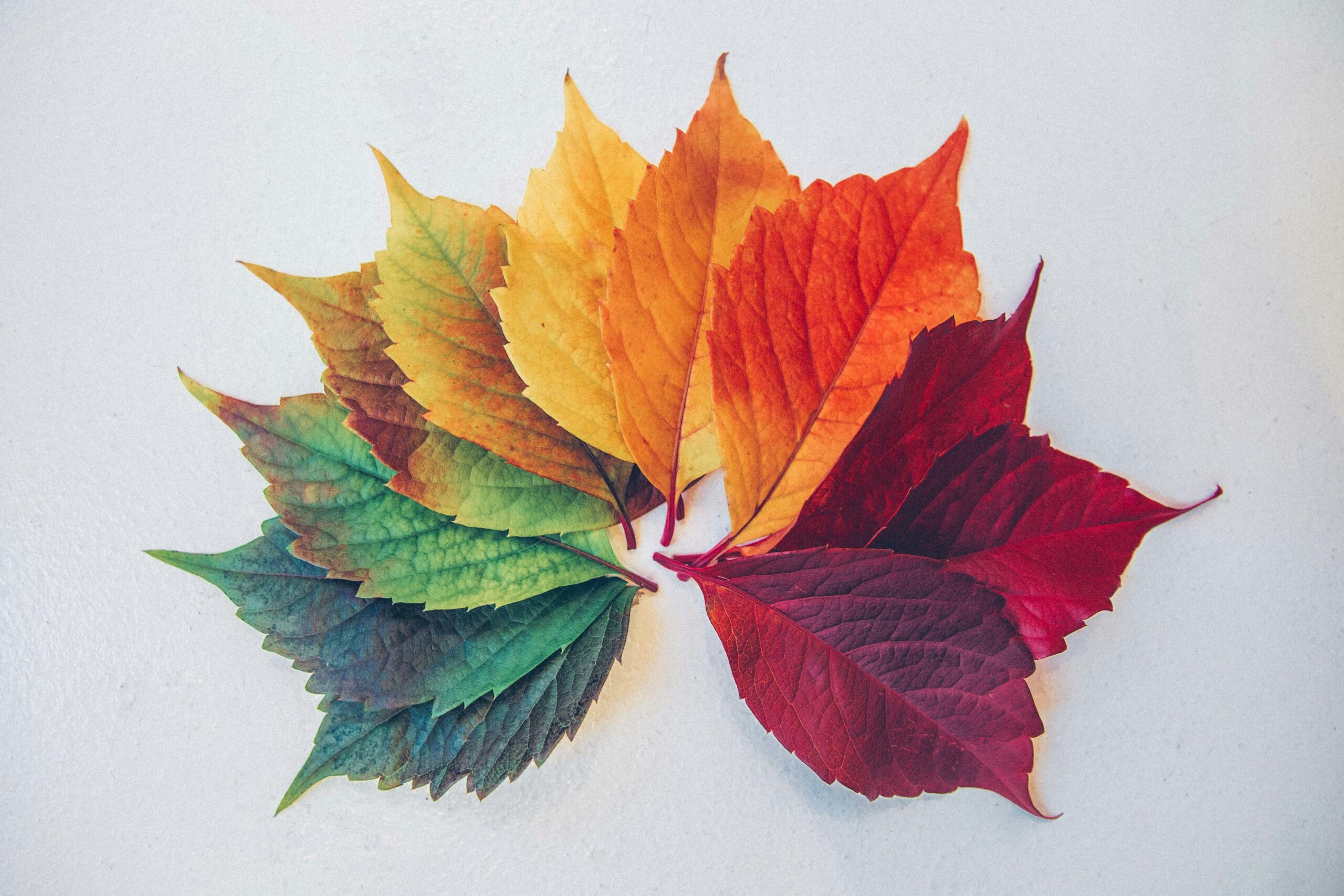 Seasonal Wellness Tips for Staying Grounded Year-Round